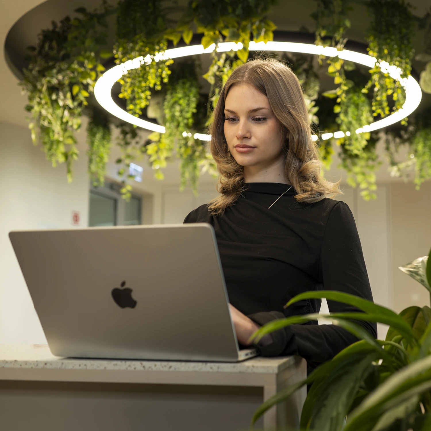 szolgaltatasok_hatter