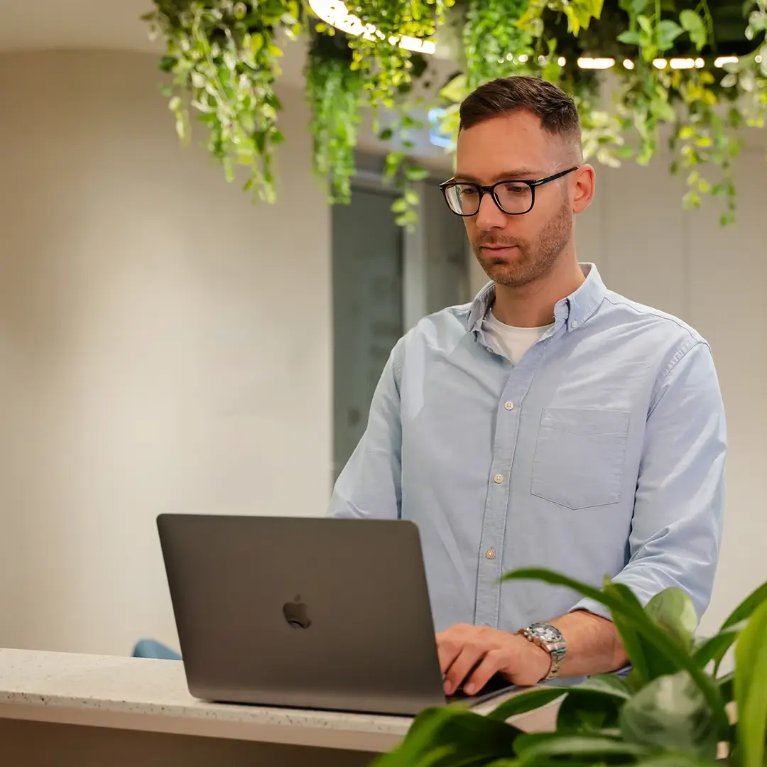 szolgaltatasok_hatter